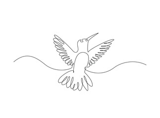 Hummingbird fly in single outline illustration. Continuous line art drawing of hummingbird or colobri. Editable stroke.