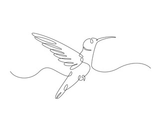 Hummingbird fly in single outline illustration. Continuous line art drawing of hummingbird or colobri. Editable stroke.