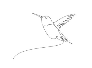 Hummingbird fly in single outline illustration. Continuous line art drawing of hummingbird or colobri. Editable stroke.