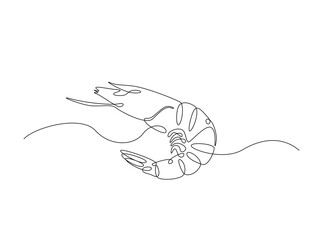 Sea shrimp in single outline illustration. Continuous line art drawing of shrimp. Editable stroke.