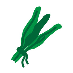 Spinach Vector Flat Icon Design