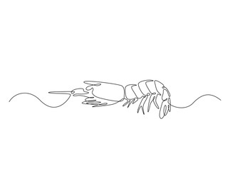 Sea shrimp in single outline illustration. Continuous line art drawing of shrimp. Editable stroke.