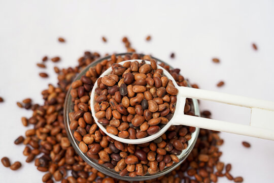 Horse gram in white spoon isolated in white background. Kulthi dal or horse gram is widely known for its curative properties of treating gall bladder stones, kidney stones and maintaining renal health