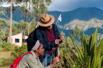 Biologists examining plants during a field trip in the mountains