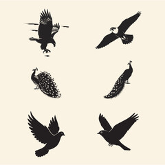 Obraz premium Different bird activity Vector silhouette