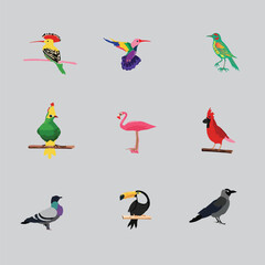  Nice Colorful Birds Vector set 