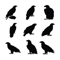 Obraz premium bald eagle silhouette set, Black & White silhouette set 