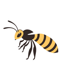 bee on white background