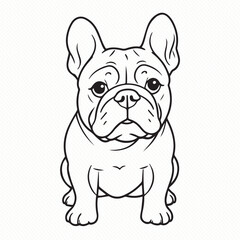 english bulldog puppy