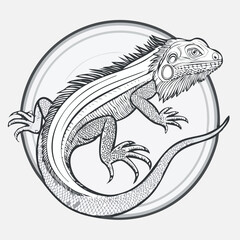 Naklejka premium Bearded Dragon line drawing featuring smooth sketch-style strokes in a refined black and white vector design.