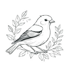 Finch line drawing featuring smooth sketch-style strokes in a refined black and white vector design.