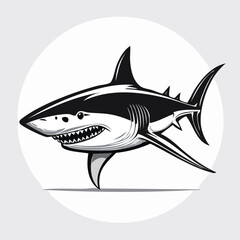 Obraz premium Great White Shark line drawing featuring smooth sketch-style strokes in a refined black and white vector design.