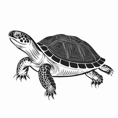 Fototapeta premium Red-Eared Slider line drawing featuring smooth sketch-style strokes in a refined black and white vector design.