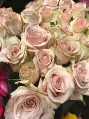 bouquet of roses