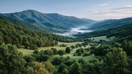 Fototapeta premium Lush valley nestled amidst misty mountains.