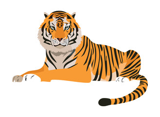 Powerful Tiger Lying Down Relaxed