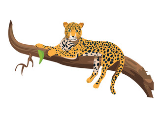 Leopard Resting on Tree Branch Illustration