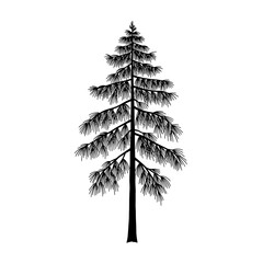 Minimalist Black and White Silhouette of a Pine Tree on White