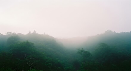 Misty Green Hills: A Tranquil Tropical Forest Under a Foggy Sky
