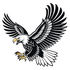 Fototapeta premium Angry bald eagle prepares to land with its wings fully spread on a white background