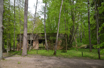 remains of buildings, trees, the concrete town of bunkers Wolf's Lair in Gierłoż near Kętrzyn