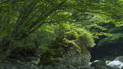 みたらい渓谷（奈良,自然）