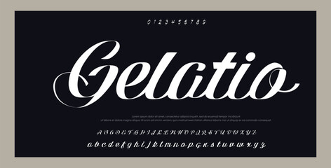 
Elegant Script Font Alphabet Typography 
