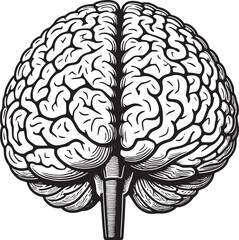Fototapeta premium A clean black and white vector illustration of the human brain in abstract line style, ideal for education, science, or tech branding.