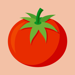 tomato vector 