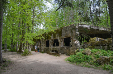 remains of buildings, trees, the concrete town of bunkers Wolf's Lair in Gierłoż near Kętrzyn