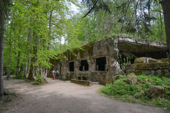 remains of buildings, trees, the concrete town of bunkers Wolf's Lair in Gierłoż near Kętrzyn
