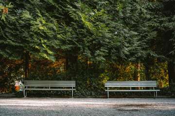 Two empty wooden benches in a public park.