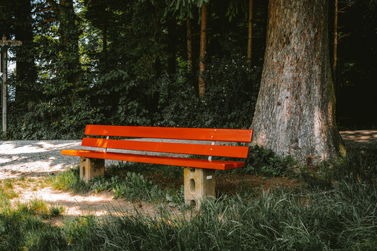 Empty red wooden bench in a forest resting place. - Powered by Adobe