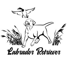 Labrador logo