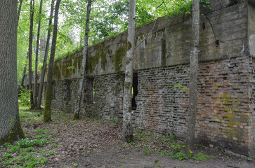 remains of buildings, trees, the concrete town of bunkers Wolf's Lair in Gierłoż near Kętrzyn