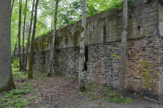 remains of buildings, trees, the concrete town of bunkers Wolf's Lair in Gierłoż near Kętrzyn