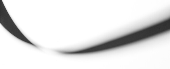 shadow overlay effect of abstract shadow over on white wall background,realistic summer abstract shadow overlay