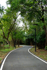 Obraz premium Fresh green lawns in the park. Blur nature bokeh green park trees in morning.