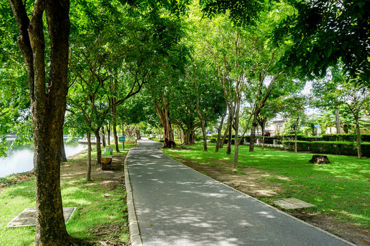 Fresh green lawns in the park. Blur nature bokeh green park trees in morning.