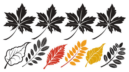 Fototapeta premium Colorful vector set of various natural autumn leaves