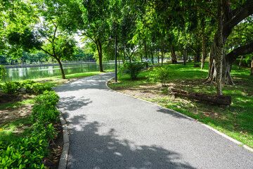 Fresh green lawns in the park. Blur nature bokeh green park trees in morning.