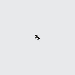 Horse logo icon vector new design