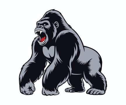 big angry gorilla vector illustration, king kong gorilla vector art