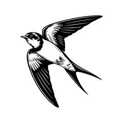 Vintage swallow bird vector illustration