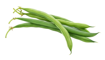 Obraz premium Fresh green beans healthy eating vegetable pods string beans organic food raw ingredient close up nutrition