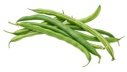 Fresh green beans vegetable healthy eating vegetarian diet ingredient cooking recipe garden harvest 100 character