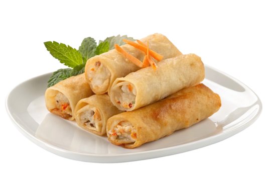 Delicious spring rolls recipe asian cuisine fried spring rolls appetizer healthy spring rolls food photography