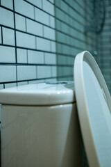 Side view of the toilet and toilet seat