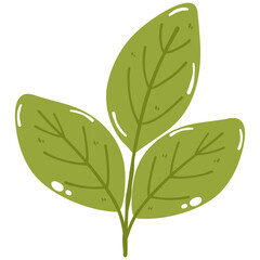 illustrations green tea leaves and twigs. Ingredients for a hot drink. Matcha. Flat illustration on white background