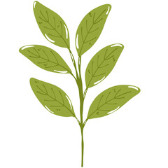 illustrations green tea leaves and twigs. Ingredients for a hot drink. Matcha. Flat illustration on white background